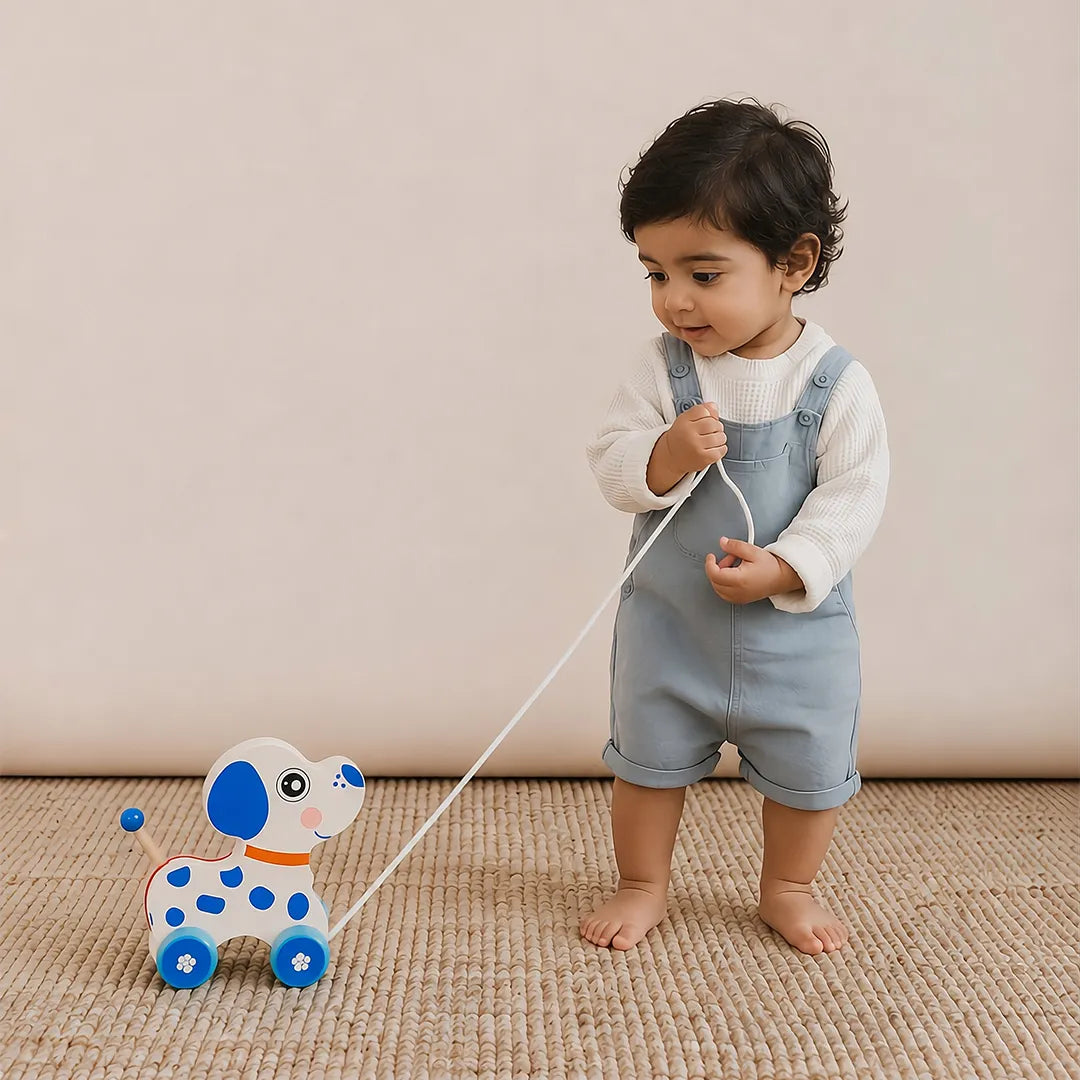 Wooden Pull Along Animal Toy for Kids