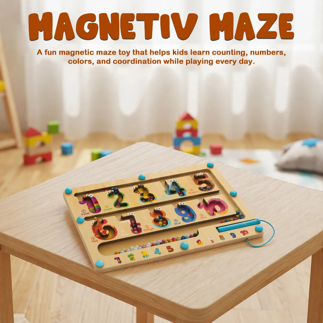 Magnetic Bed Maze