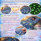 Blanket for Kids –Sea World 